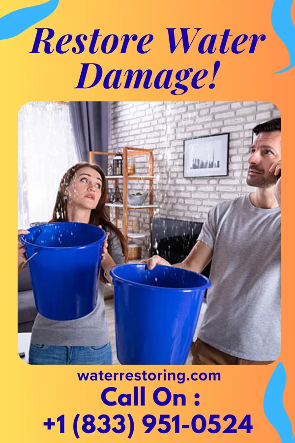 water restoration Lightning Cleanup Pros Bloxom