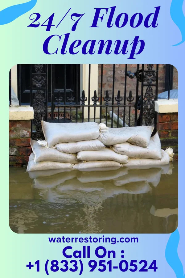 24/7 Flood Cleanup in Bloxom, VA