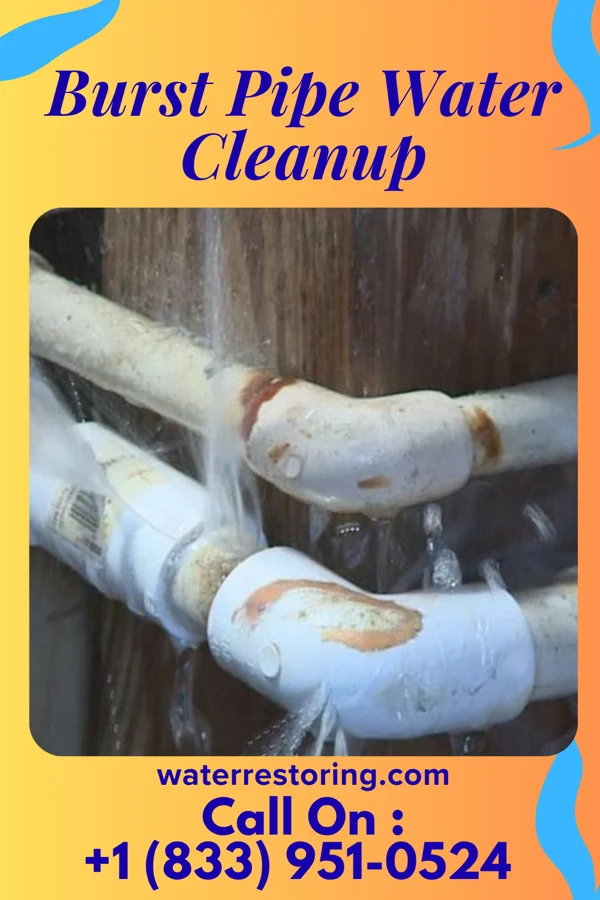 Burst Pipe Water Cleanup in Bloxom, VA