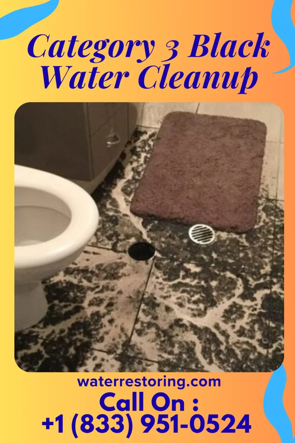 Category 3 Black Water Cleanup in Bloxom, VA