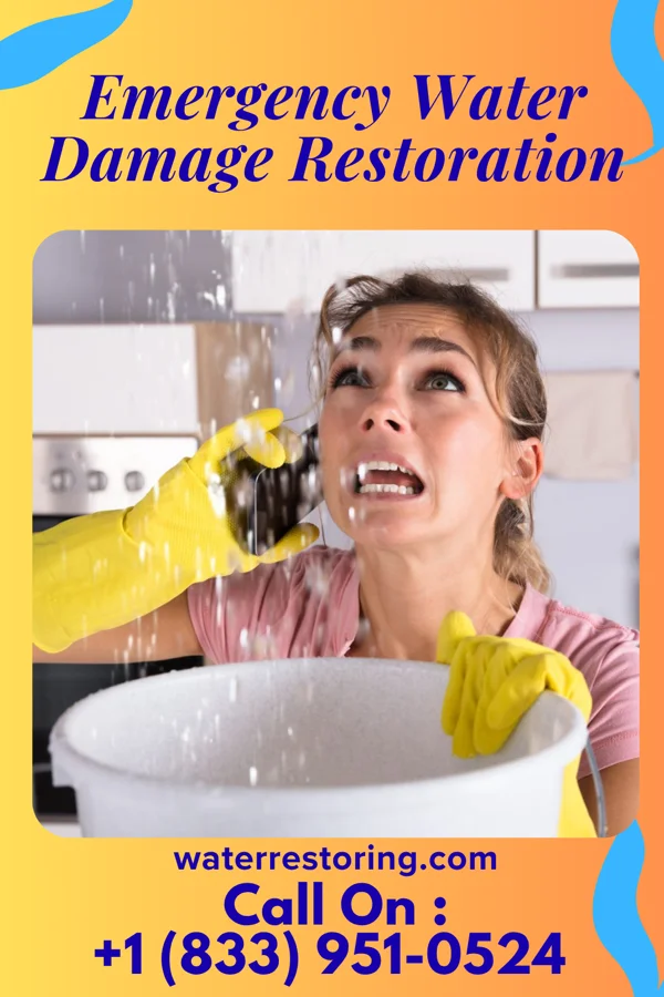 Emergency Water Damage Restoration in Bloxom, VA