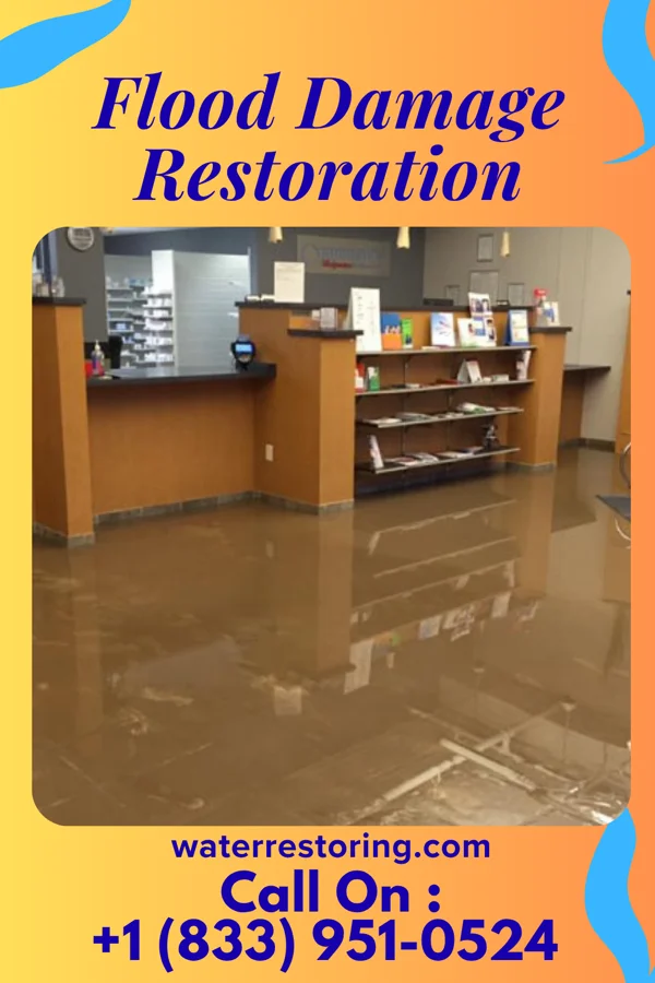 Flood Damage Restoration in Bloxom, VA