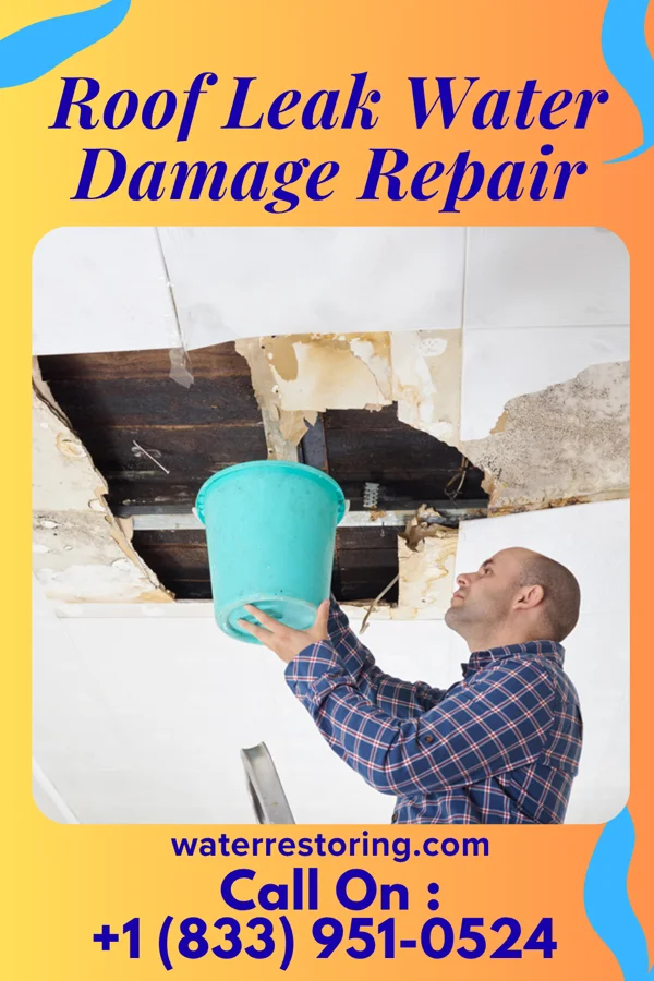 Roof Leak Water Damage Repair in Bloxom, VA