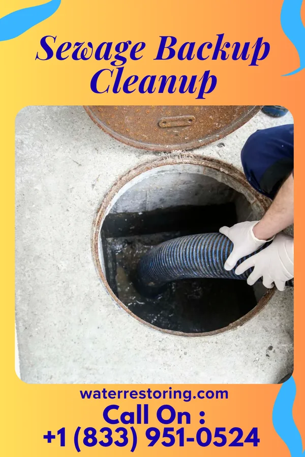 Sewage Backup Cleanup in Bloxom, VA